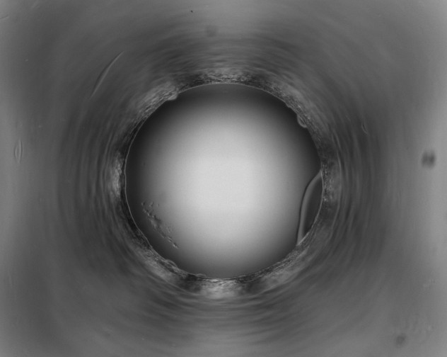 X0000098230334200805011304