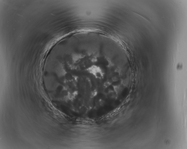 X0000098230337200805011303