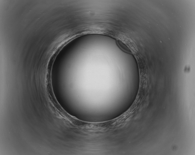 X0000098230338200805011303