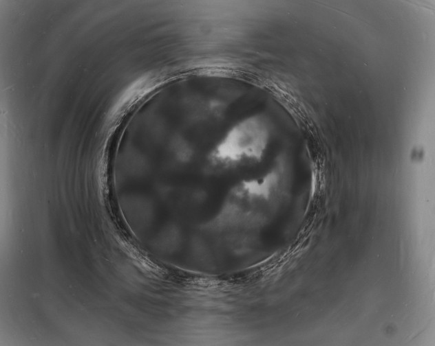 X0000098230339200805011303