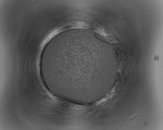 X0000098230341200805011303
