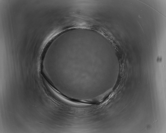 X0000098230344200805011303