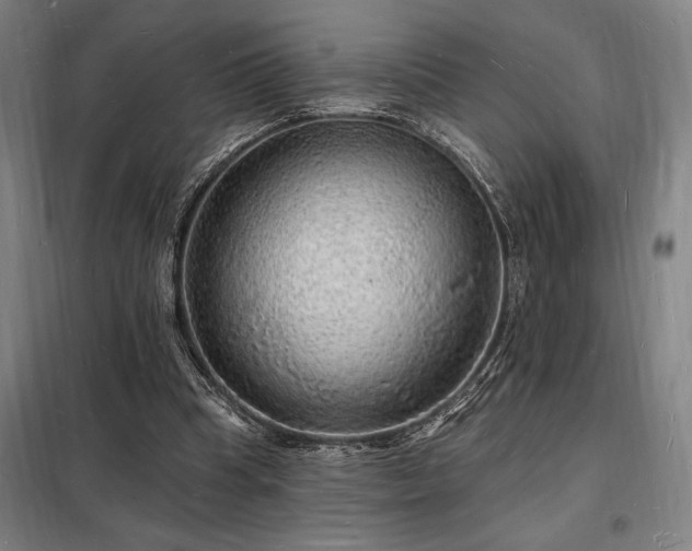 X0000098230345200805011303