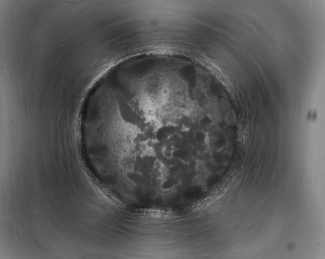 X0000098230347200805011303