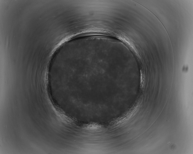 X0000098230348200805011303