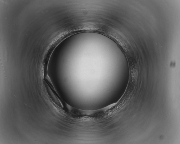 X0000098230350200805011303