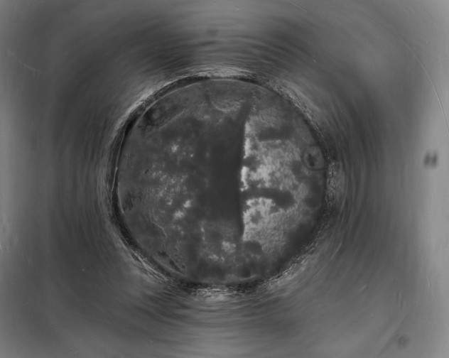 X0000098230351200805011303