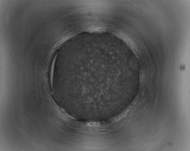 X0000098230353200805011303