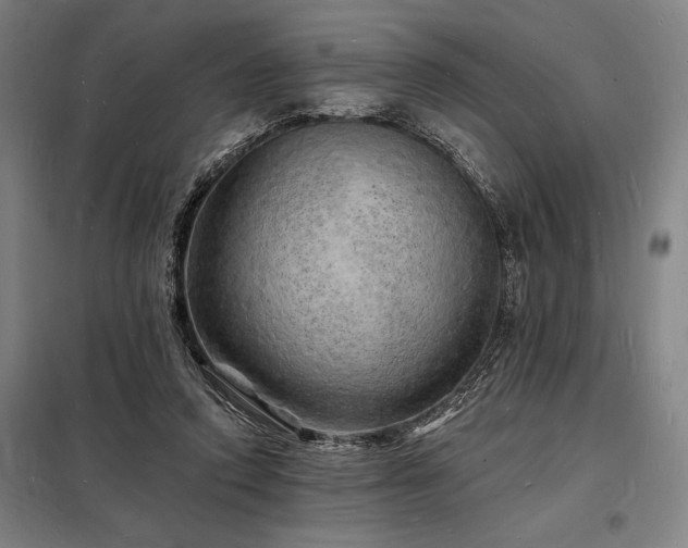 X0000098230354200805011303