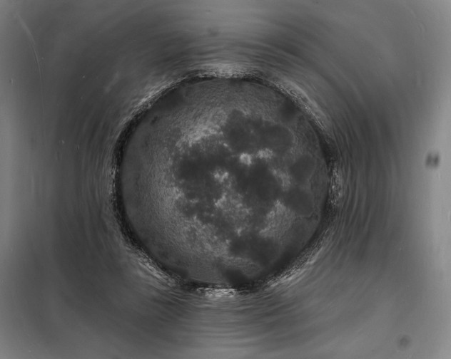 X0000098230355200805011303