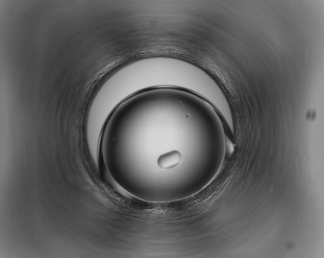 X0000098230356200805011303