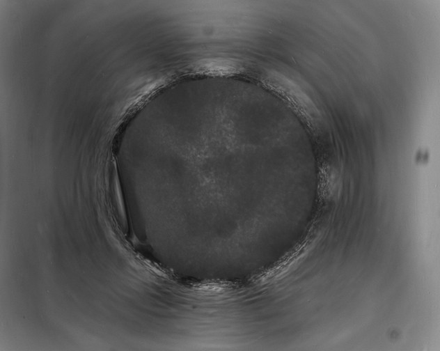 X0000098230358200805011303