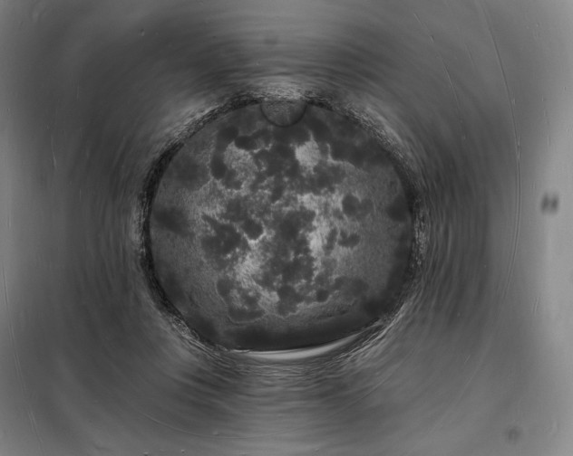 X0000098230359200805011303
