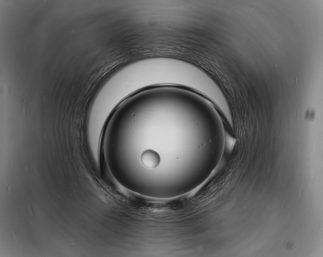 X0000098230360200805011303