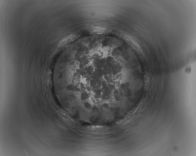 X0000098230361200805011303