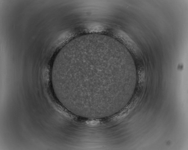 X0000098230362200805011303