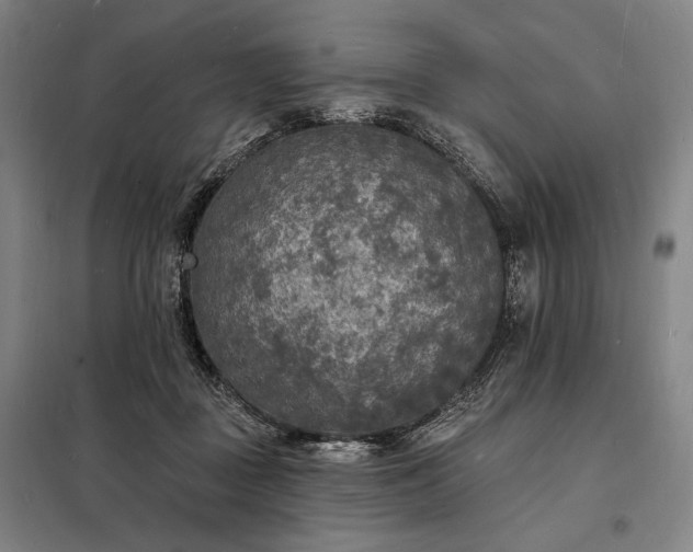 X0000098230363200805011303