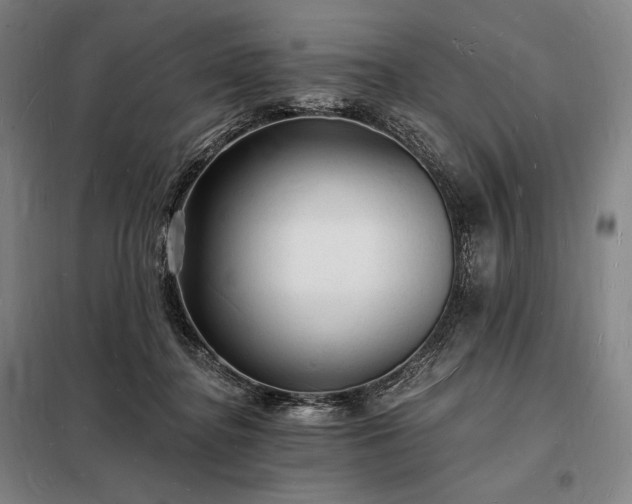 X0000098230364200805011303