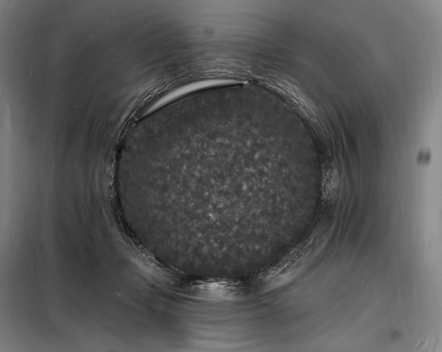 X0000098230365200805011303