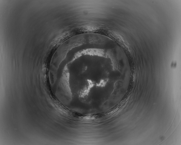 X0000098230366200805011303
