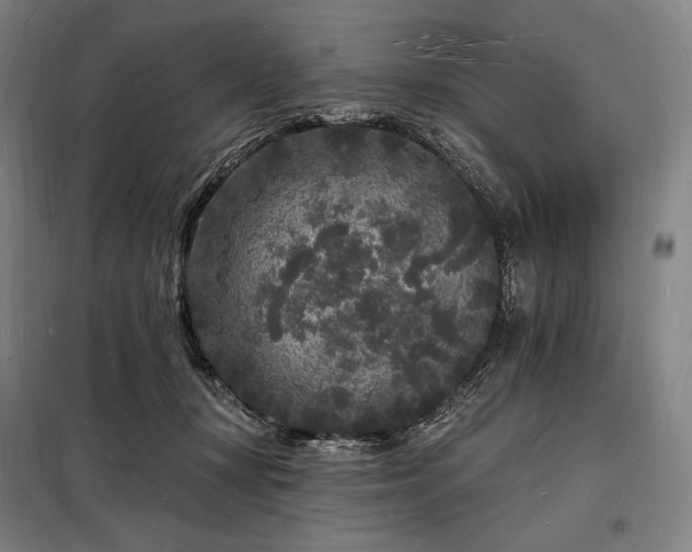 X0000098230367200805011303