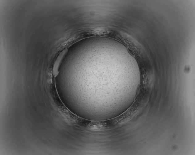 X0000098230368200805011303