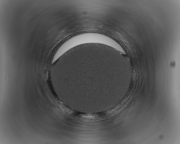 X0000098230370200805011303