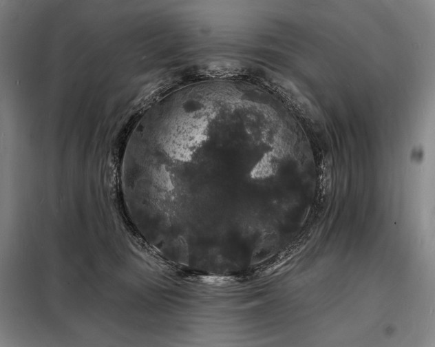 X0000098230371200805011303