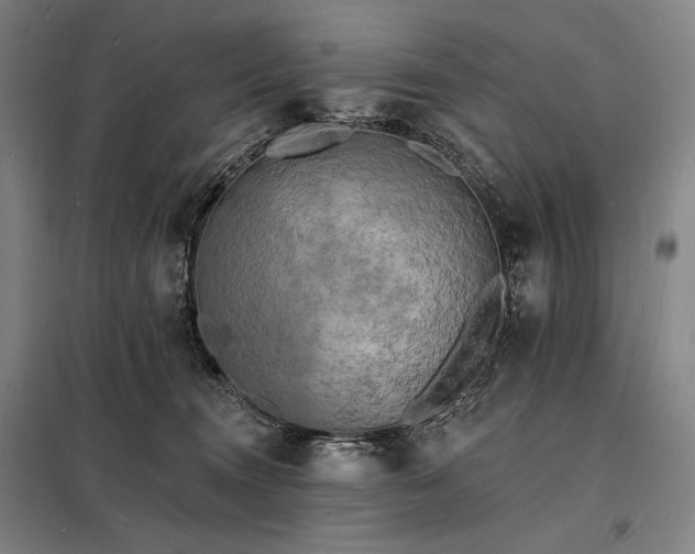 X0000098230372200805011303
