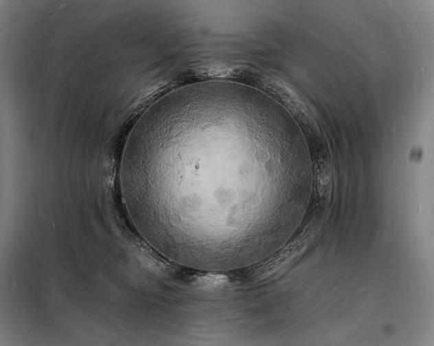 X0000098230374200805011303