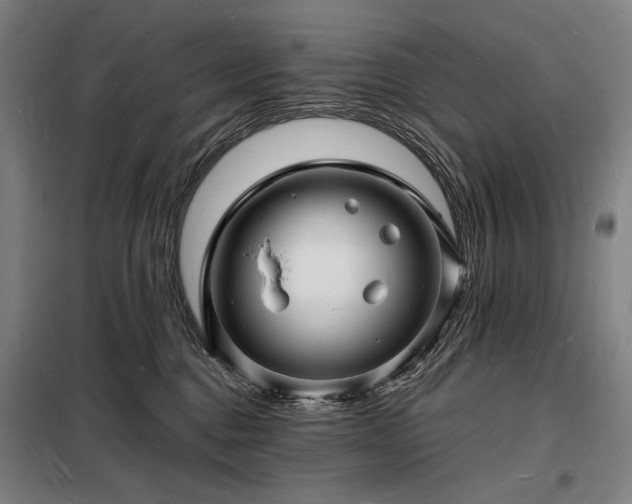 X0000098230376200805011304