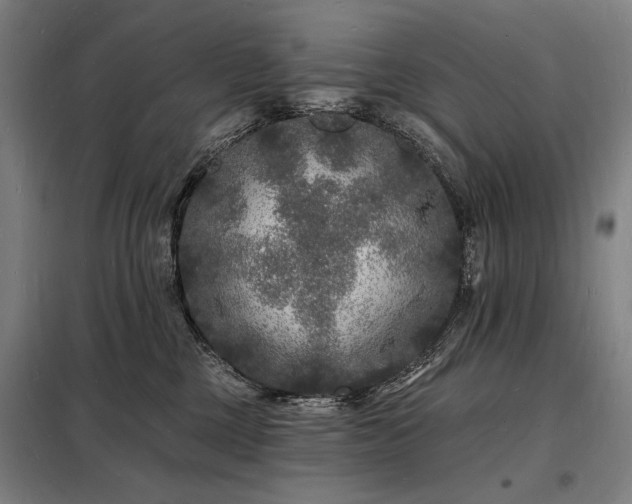 X0000098230377200805011304