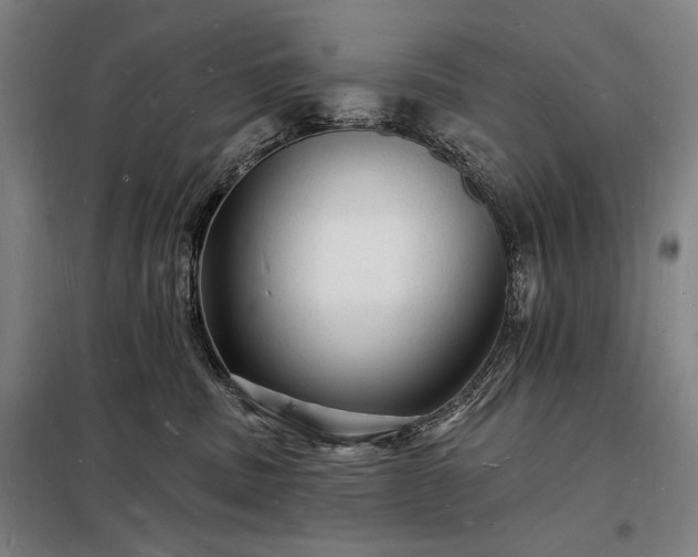 X0000098230379200805011304