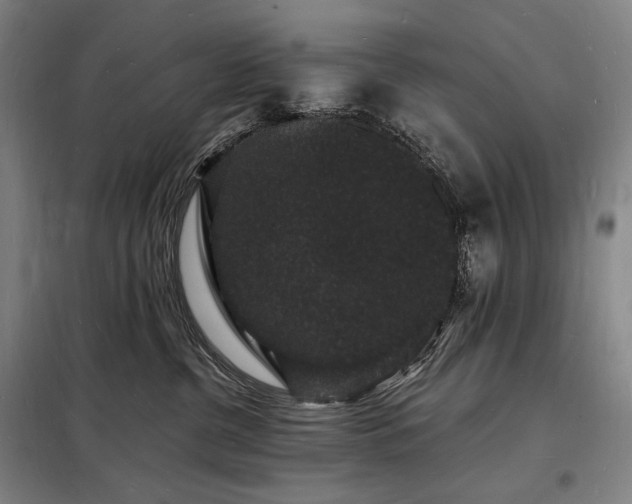 X0000098230380200805011304