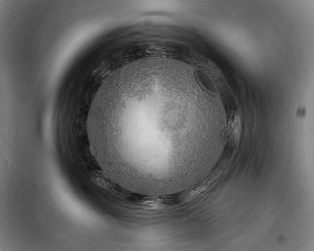 X0000098230381200805011304