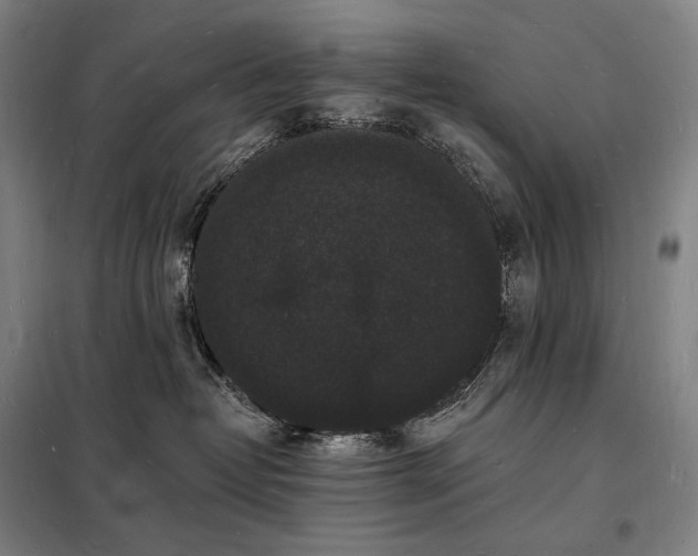 X0000098230382200805011304