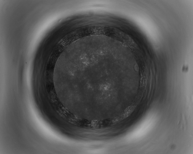 X0000098230383200805011304
