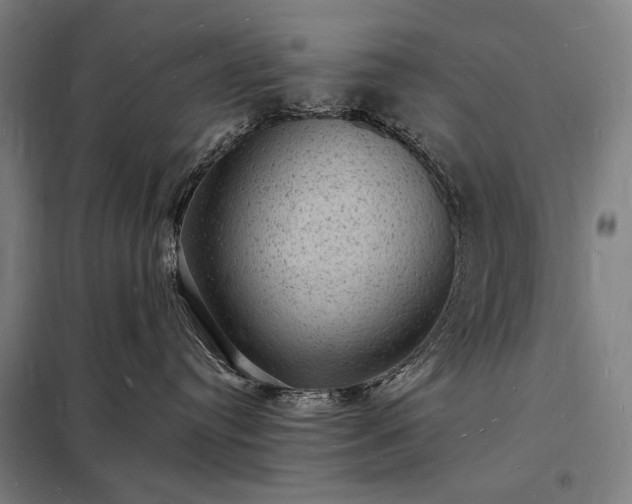X0000098230384200805011304