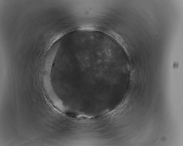 X0000098230385200805011303