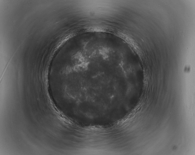 X0000098230386200805011303
