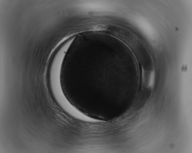 X0000098230387200805011303
