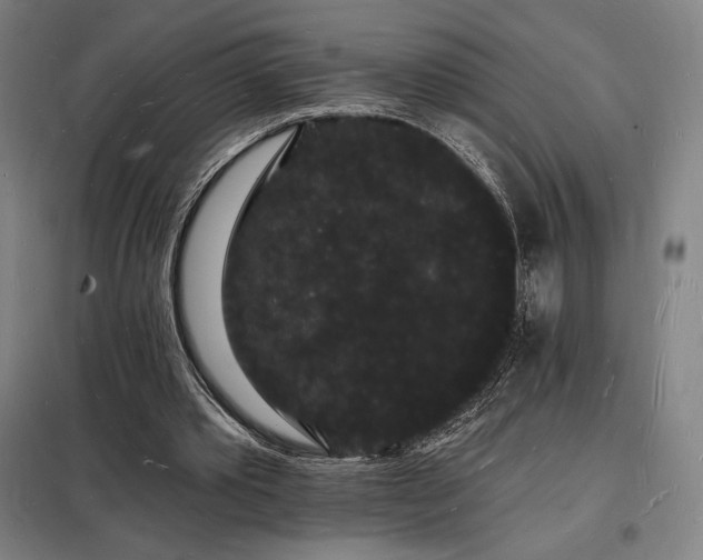 X0000098230389200805011303