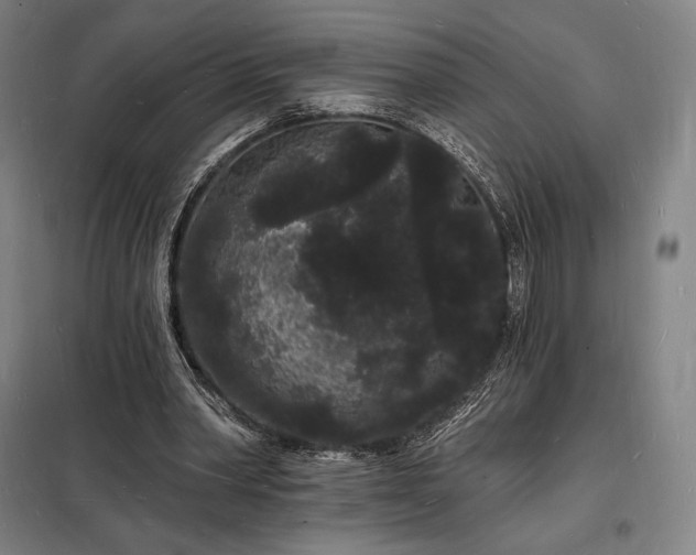 X0000098230390200805011303