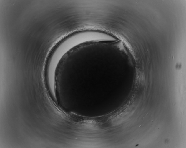 X0000098230391200805011303