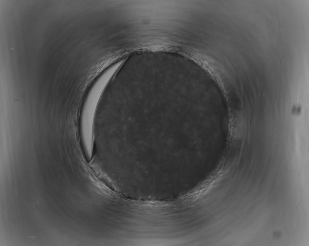 X0000098230393200805011303