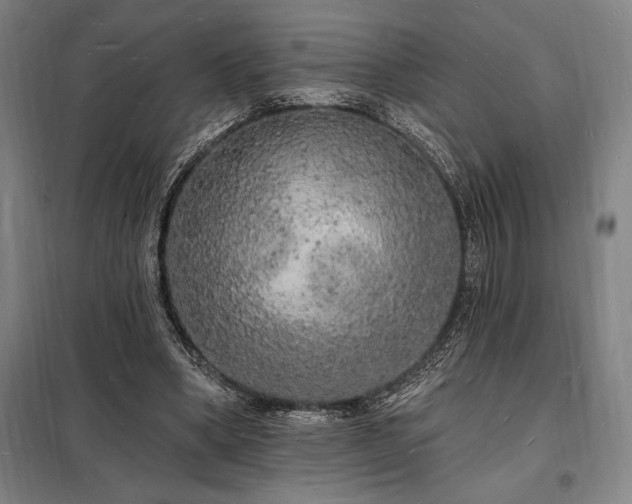 X0000098230394200805011303