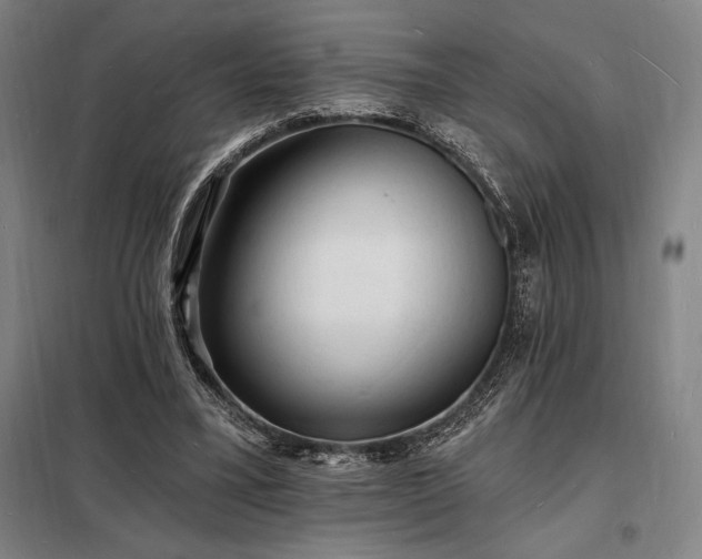 X0000098230395200805011303