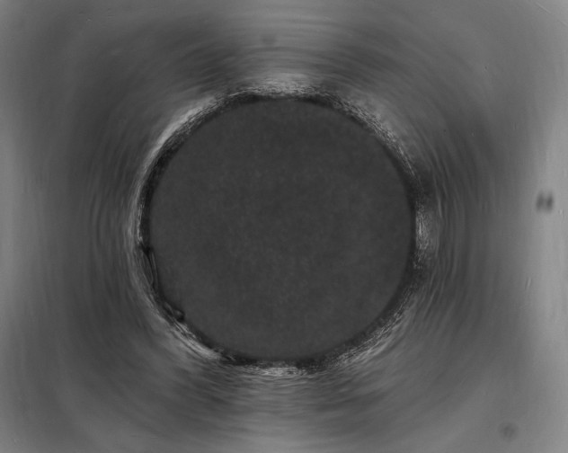 X0000098230396200805011303