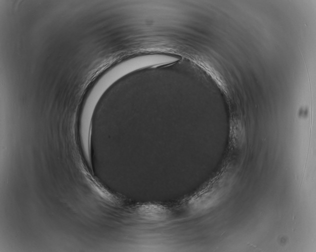 X0000098230397200805011303