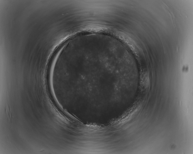X0000098230399200805011303